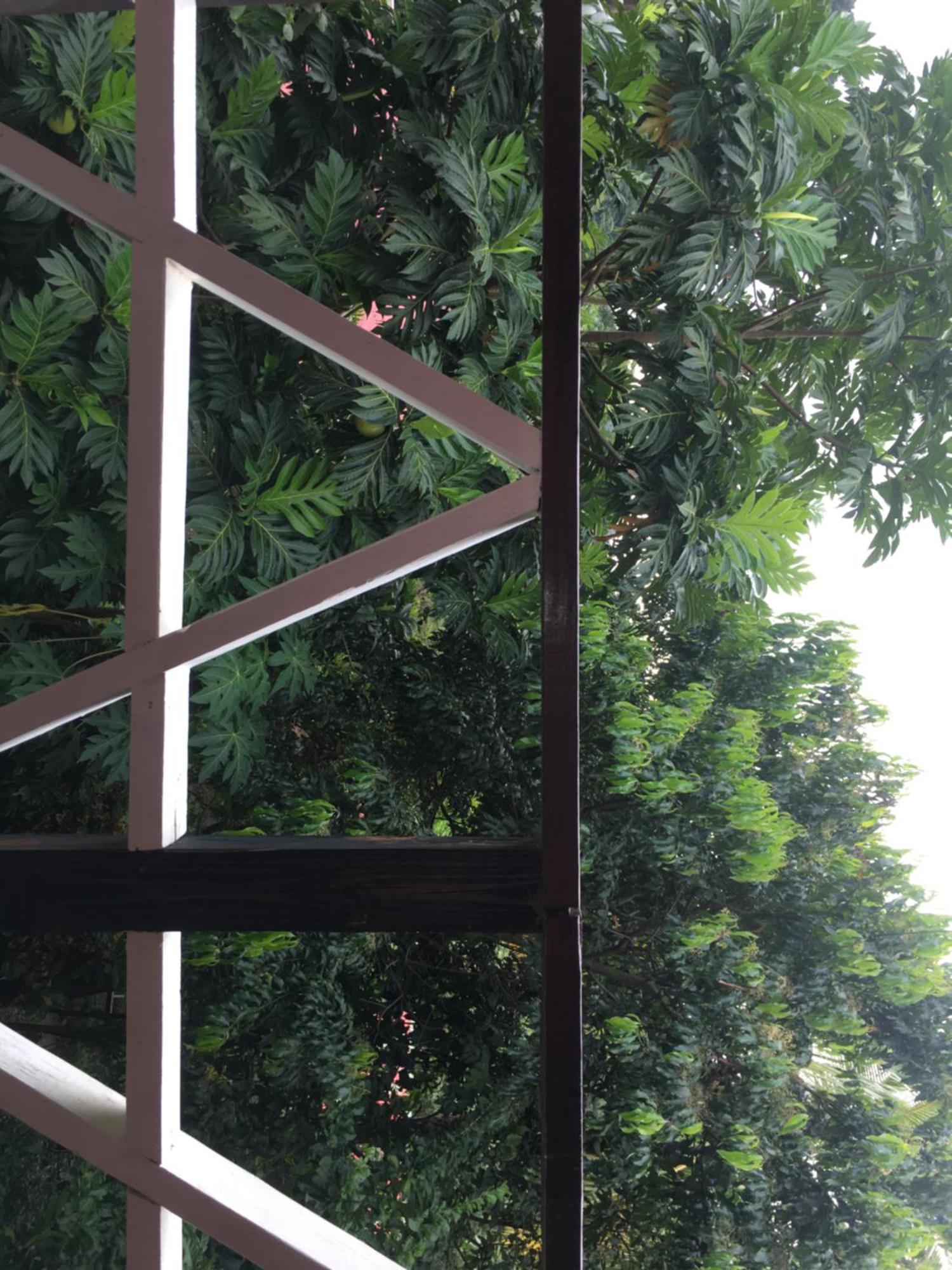Anthurium Apartment Roseau Exterior foto
